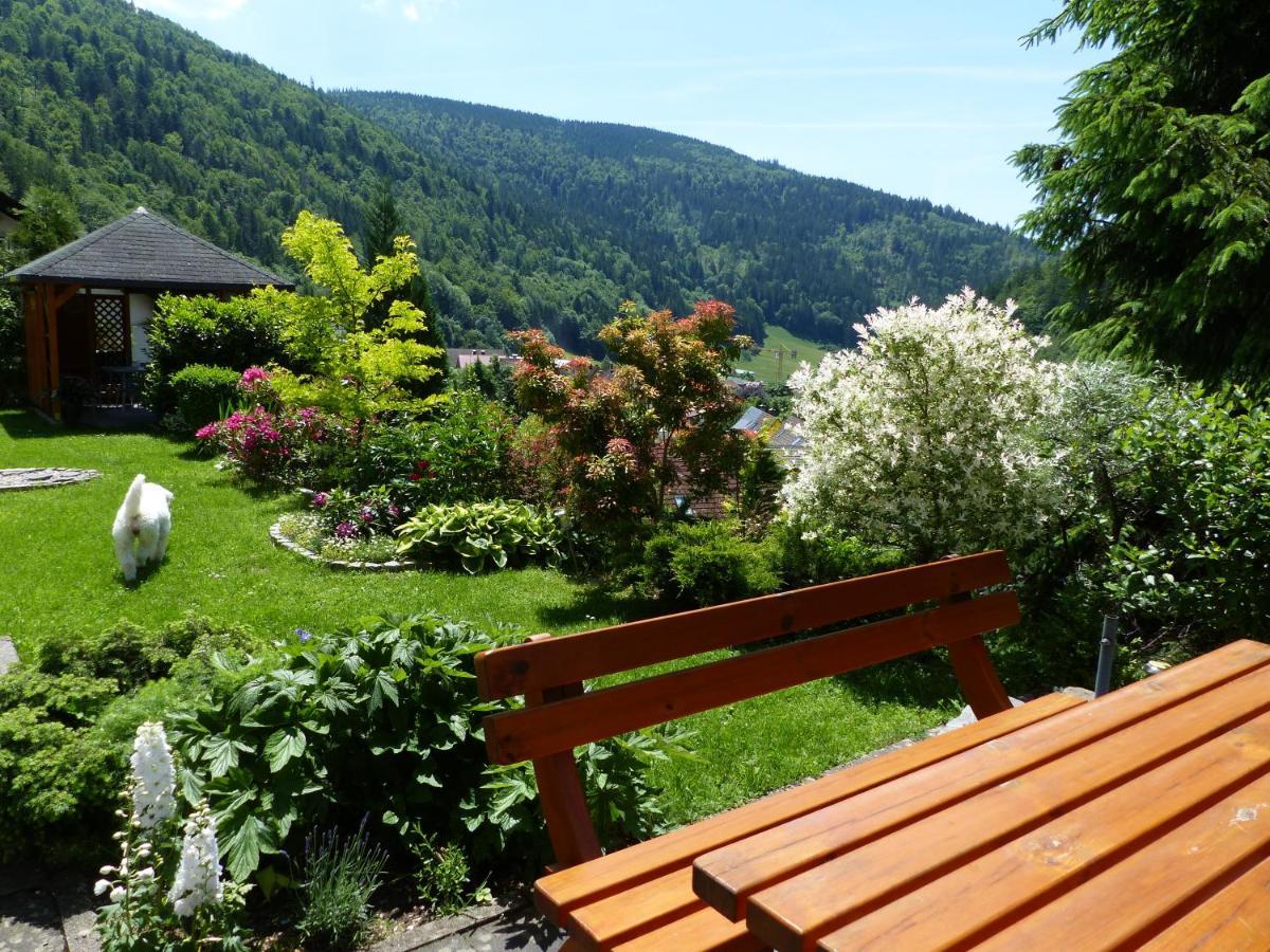 Apartamento Haus Zur Eule Todtnau Exterior foto