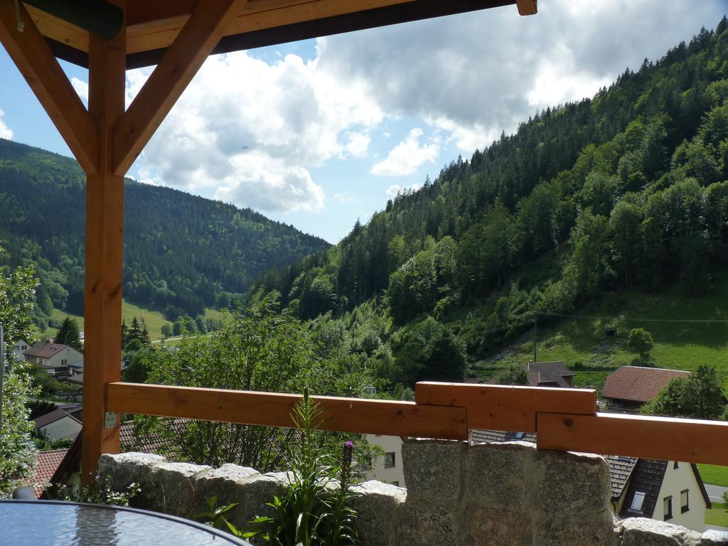 Apartamento Haus Zur Eule Todtnau Habitación foto